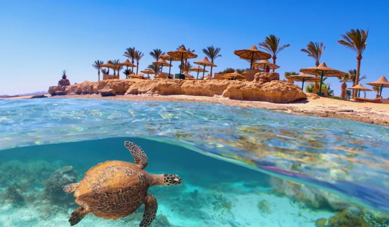 Luxury Egypt Packages & Sharm El Sheikh in 12 Days