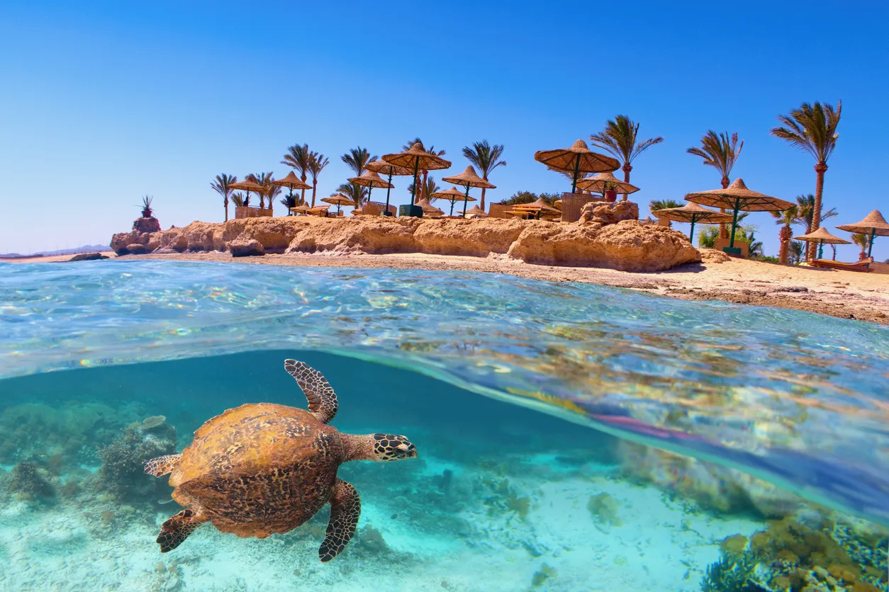 escursioni-a-marsa-alam